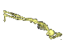 skeletonworm.gif