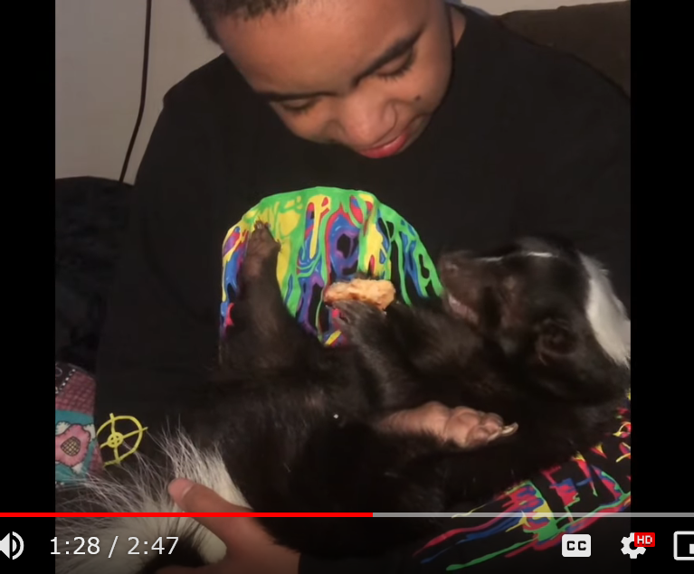 SKUNK.png