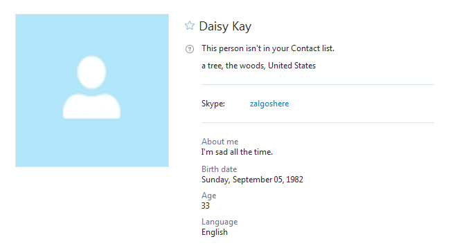 skype2.png