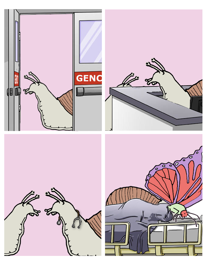 Snailloss.png