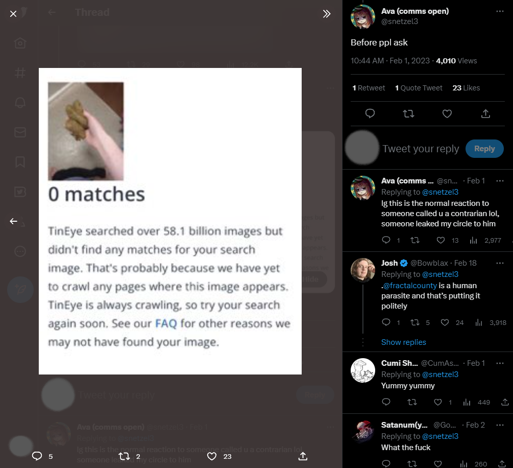 Snetzel3 Tineye Search.png