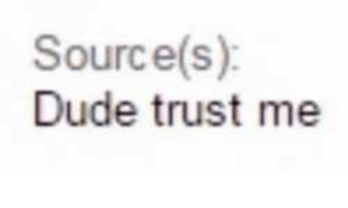 source dude trust me.png