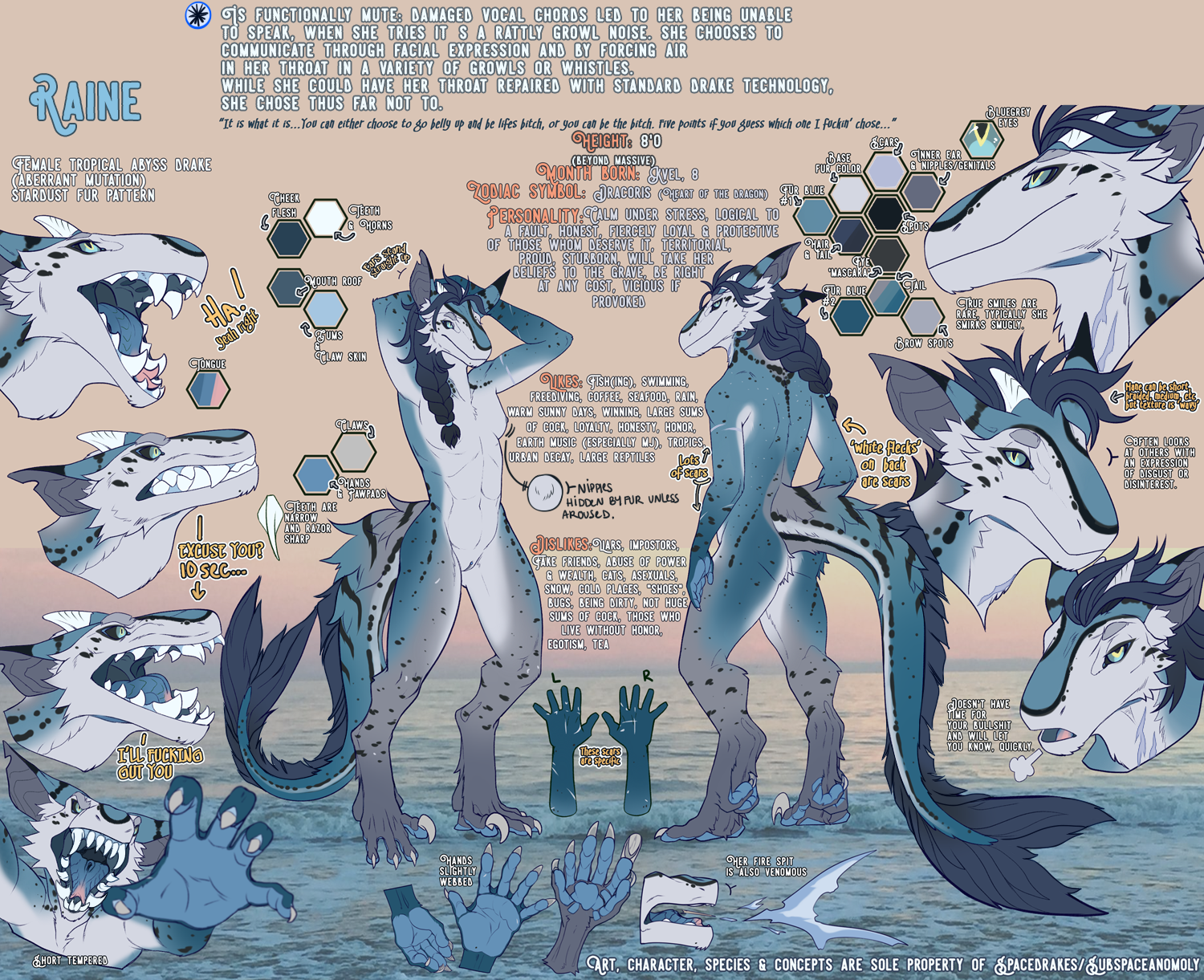 spacedrake-raine-ref-sheet-current-dec-2020.png