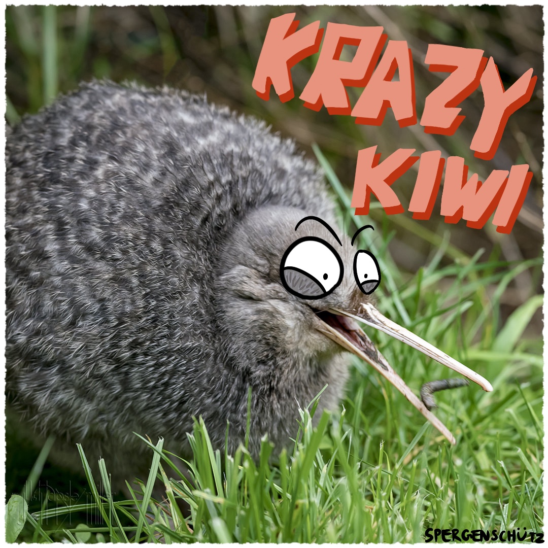 Spergenschutz Kiwi.jpg