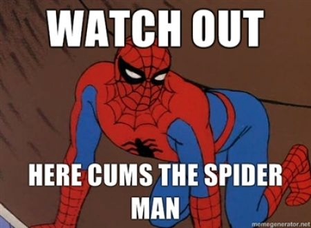 spiderman 21.png
