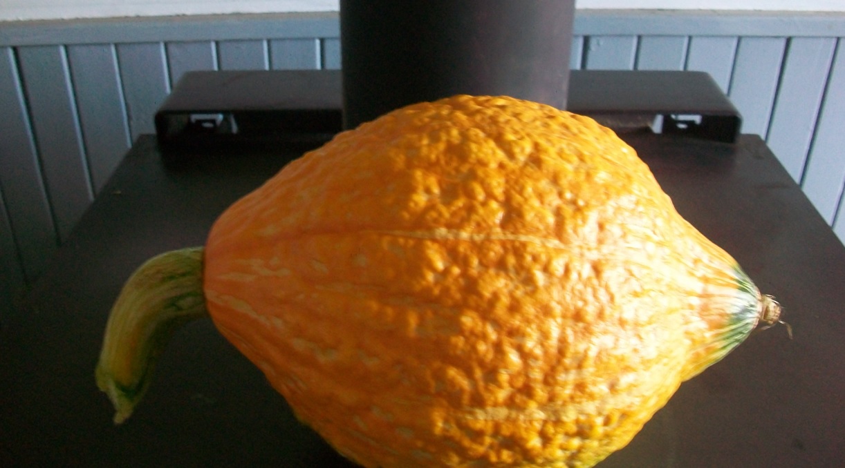 squash.jpg