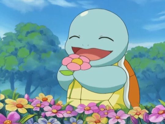 Squirtle with flower.jpg