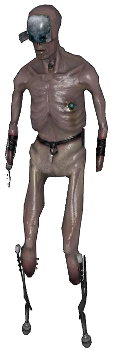 Stalker_hl.png