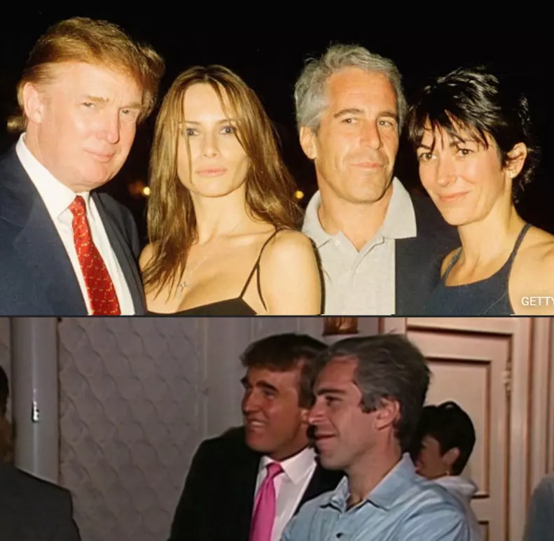 steinberg - Copy.webp