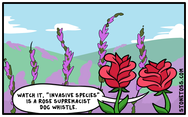Stonetoss-invasive-species-comic.png