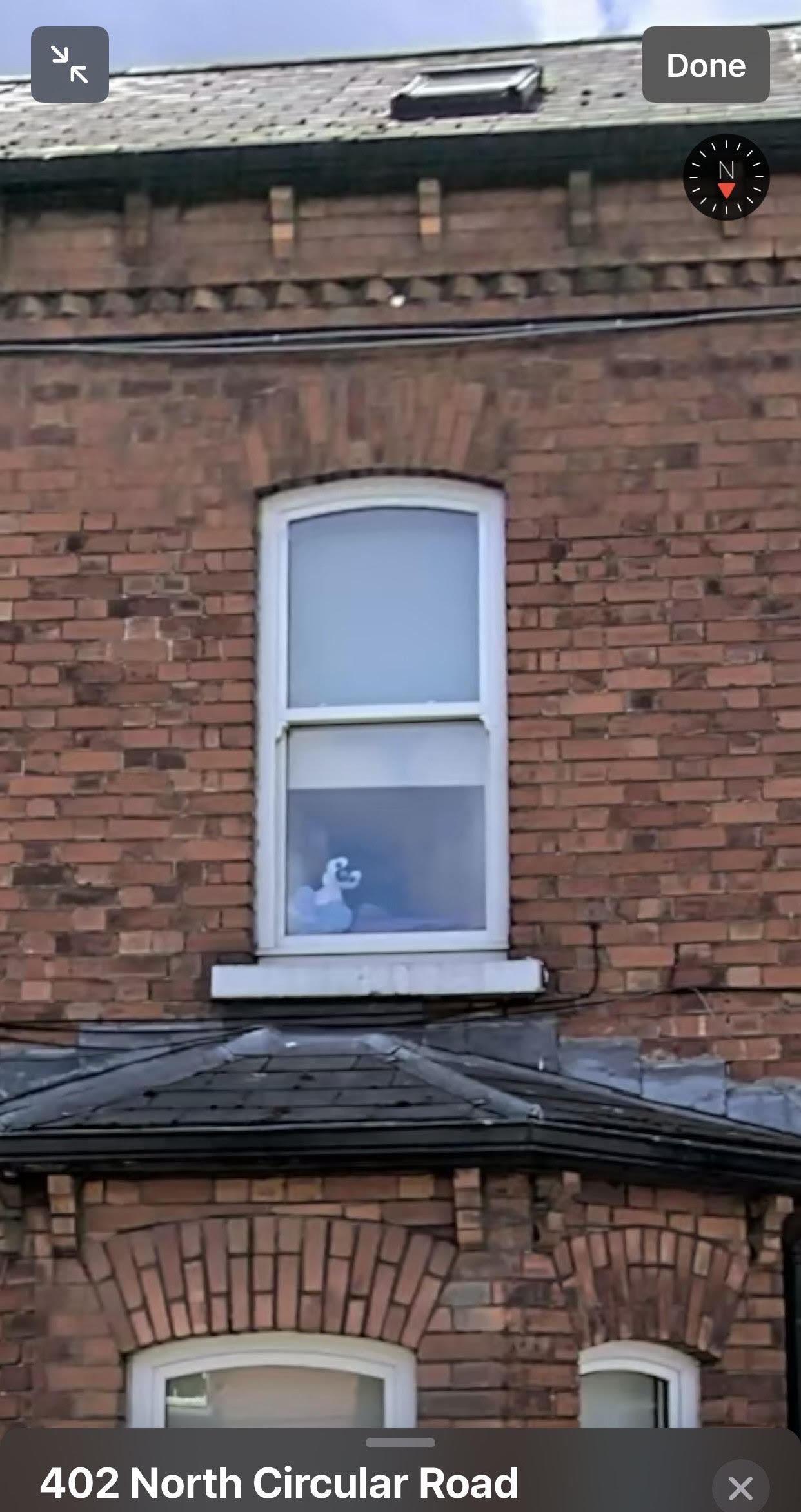 stuffedanimalwindow.jpg