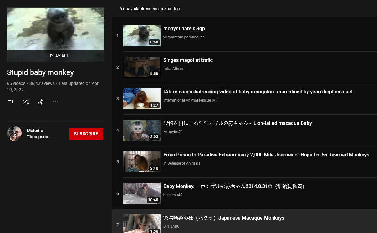 Stupidbabymonkeyplaylist.png