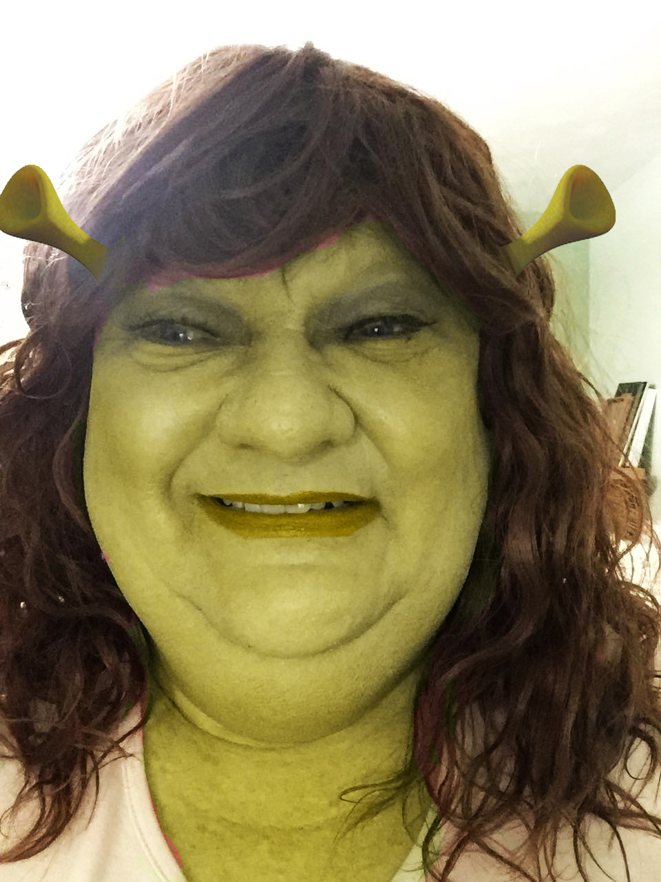 T Shrek 1.jpg