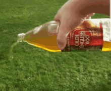 tenor (2).gif