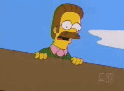 the-simpsons-ned-flanders.gif