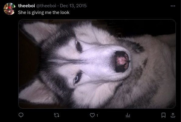 thelook.png