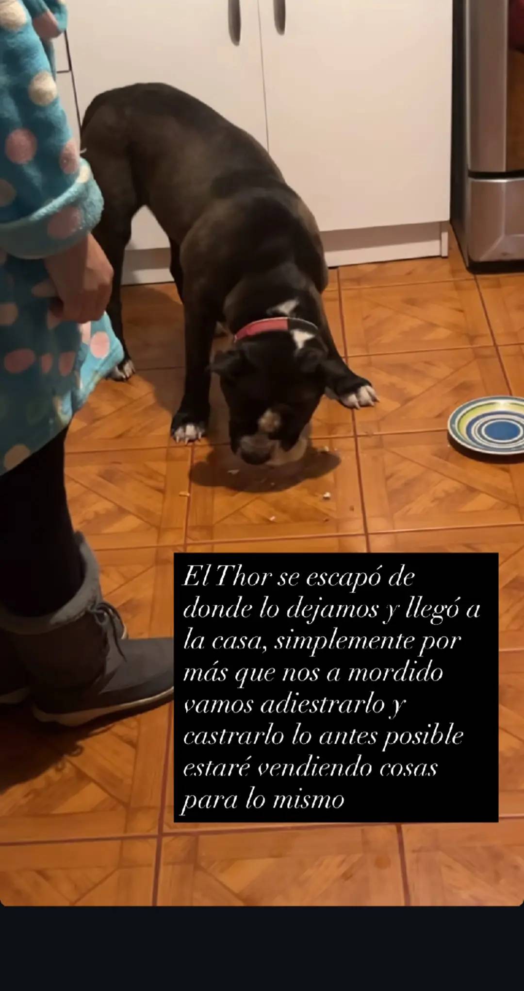 tiktokdownload.online_1762178809585.jpeg