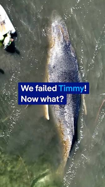 timmyy.jpg