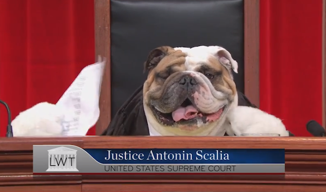 tmp_2640-scalia_11865398713.png