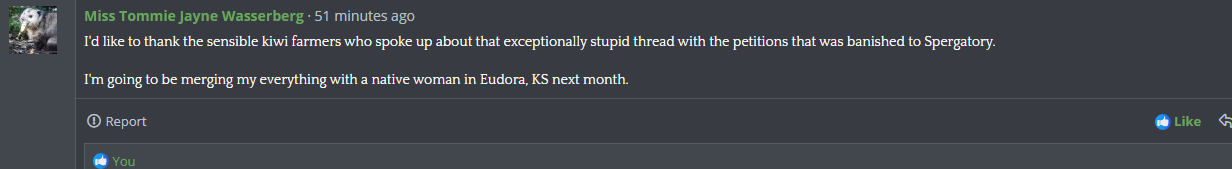 tommikansas.png