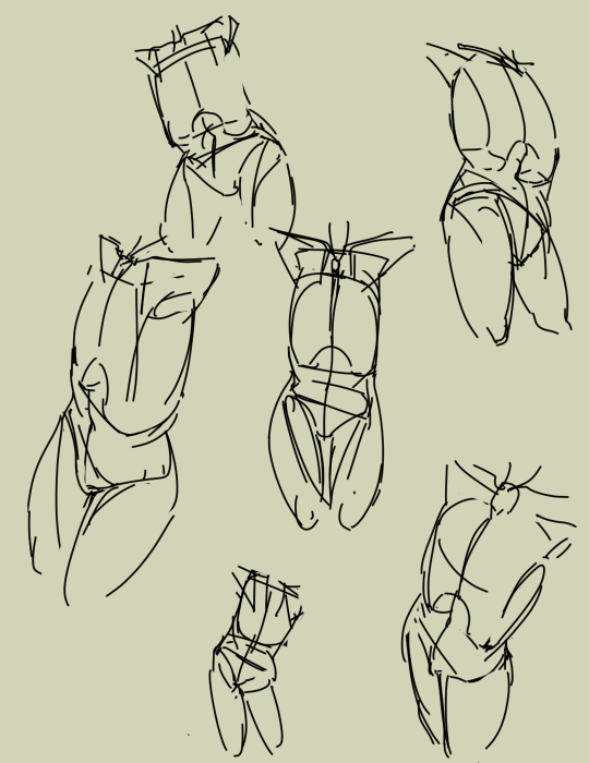too - Copy.png