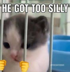 toosilly.png