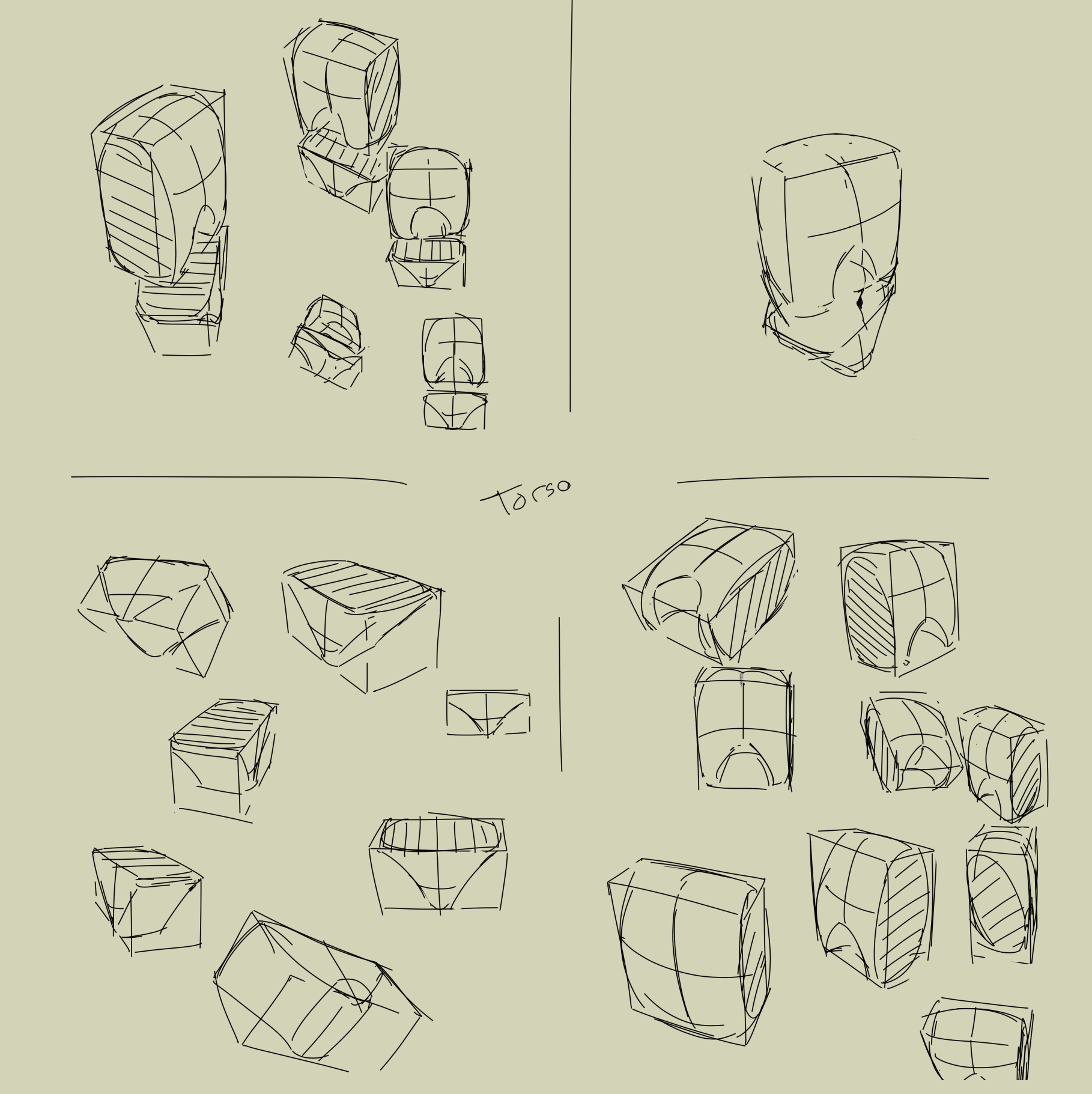 torso - Copy.png