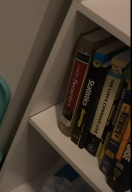totally Ambo's books.png