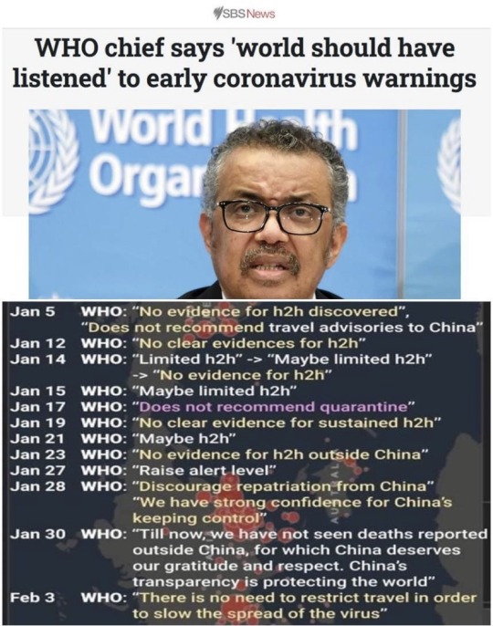 TR33.jpg