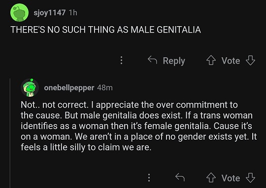 trans2.jpg