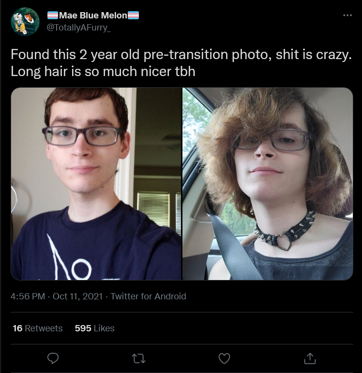 transition photos.png