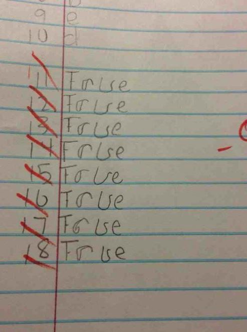 truefalse.JPG