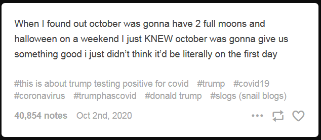 trump5.PNG