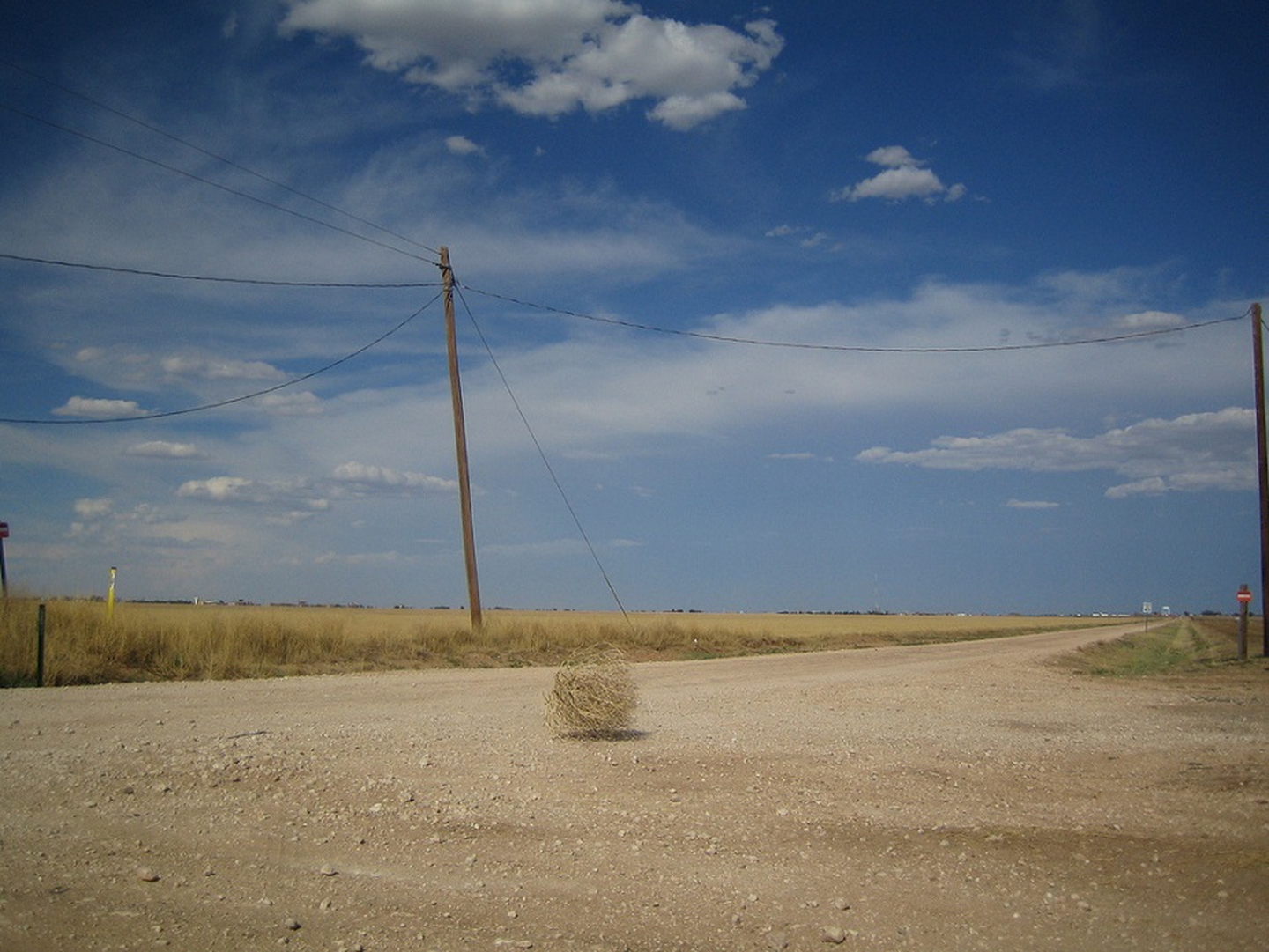tumbleweed-on-road.jpg