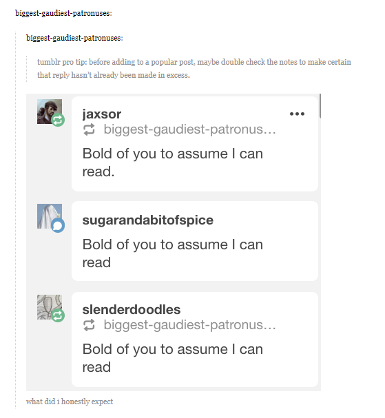 tumblr5.png