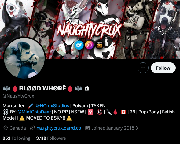 twitter header crux.png