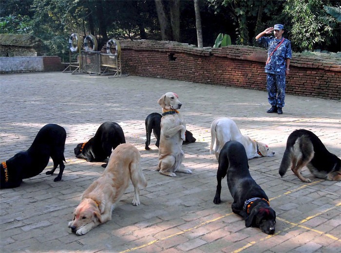 udZqcbN.jpg