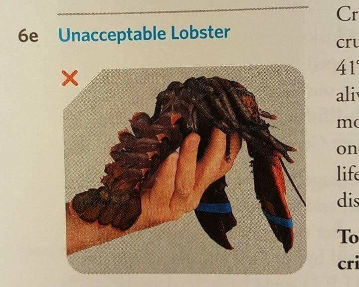 unacceptable lobster.jpg