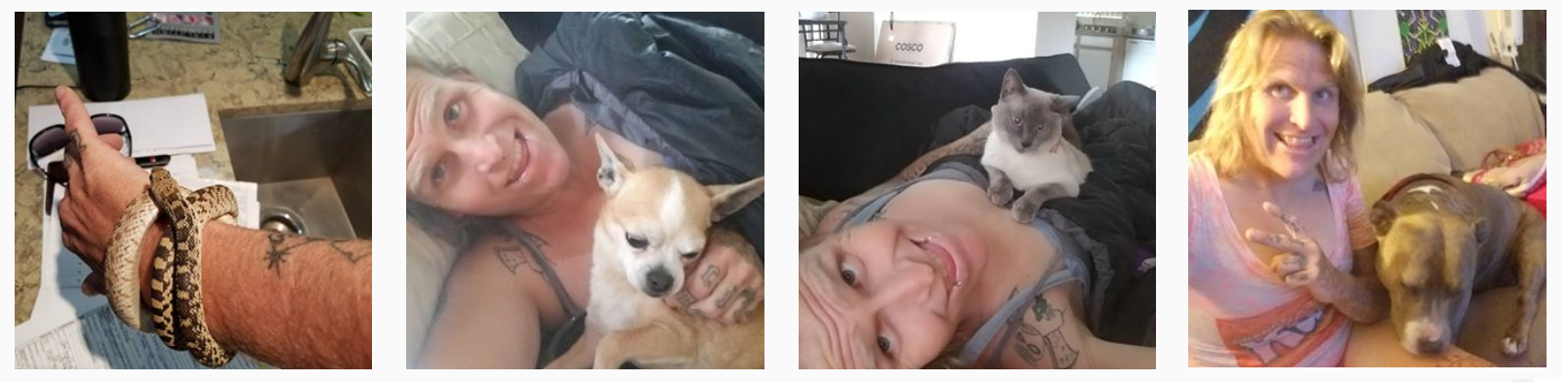 Untitled.png