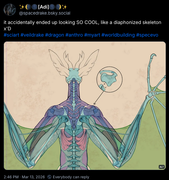 veil anatomy 2.png