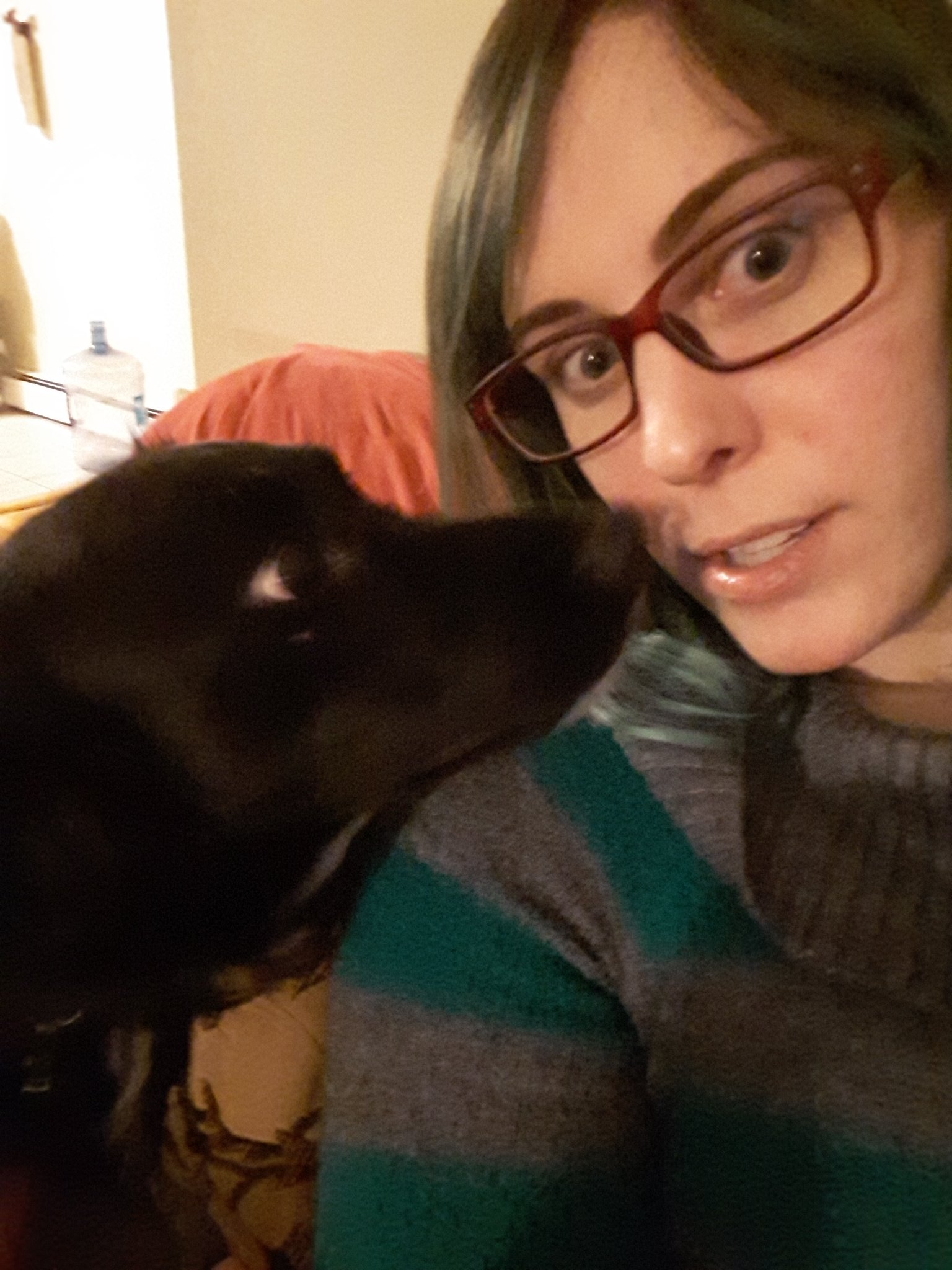 voidburger dog.jpg