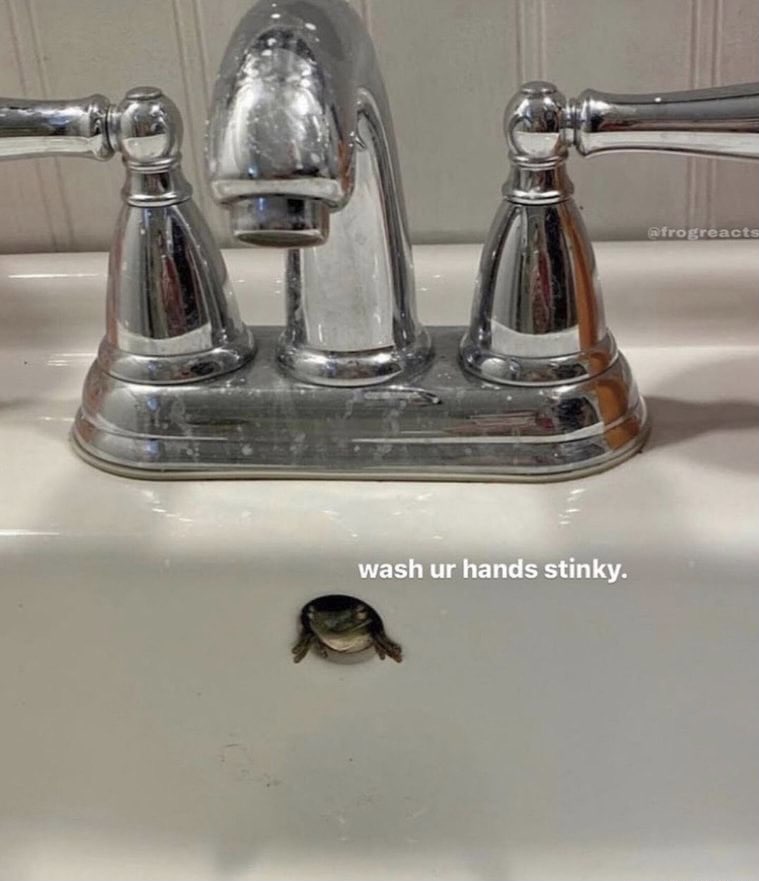 wash your hands.jpg
