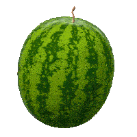 Watermelon spin.gif