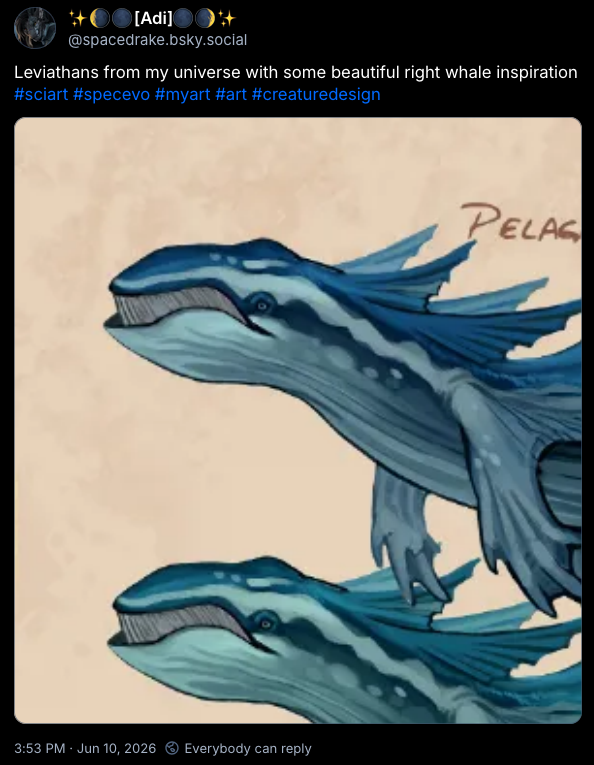 whales.png