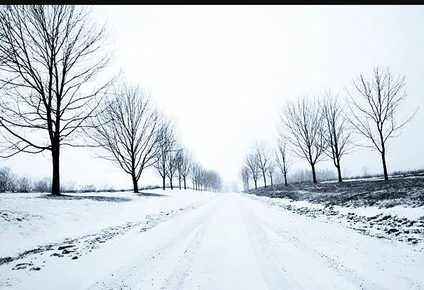 winterwasteland.jpg