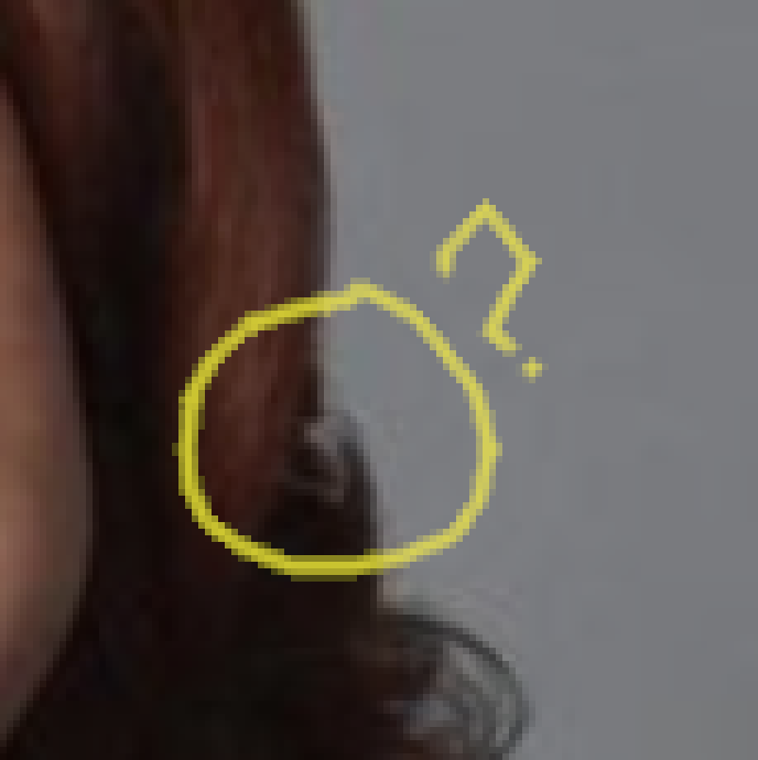 wtfhair1.png