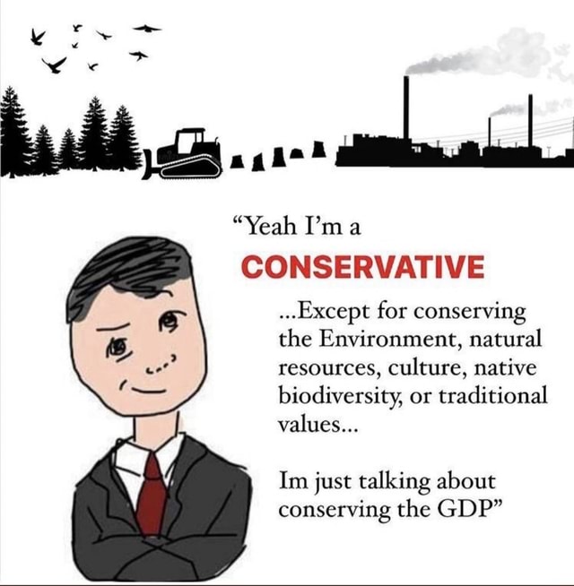 yeahimaconservative.jpg