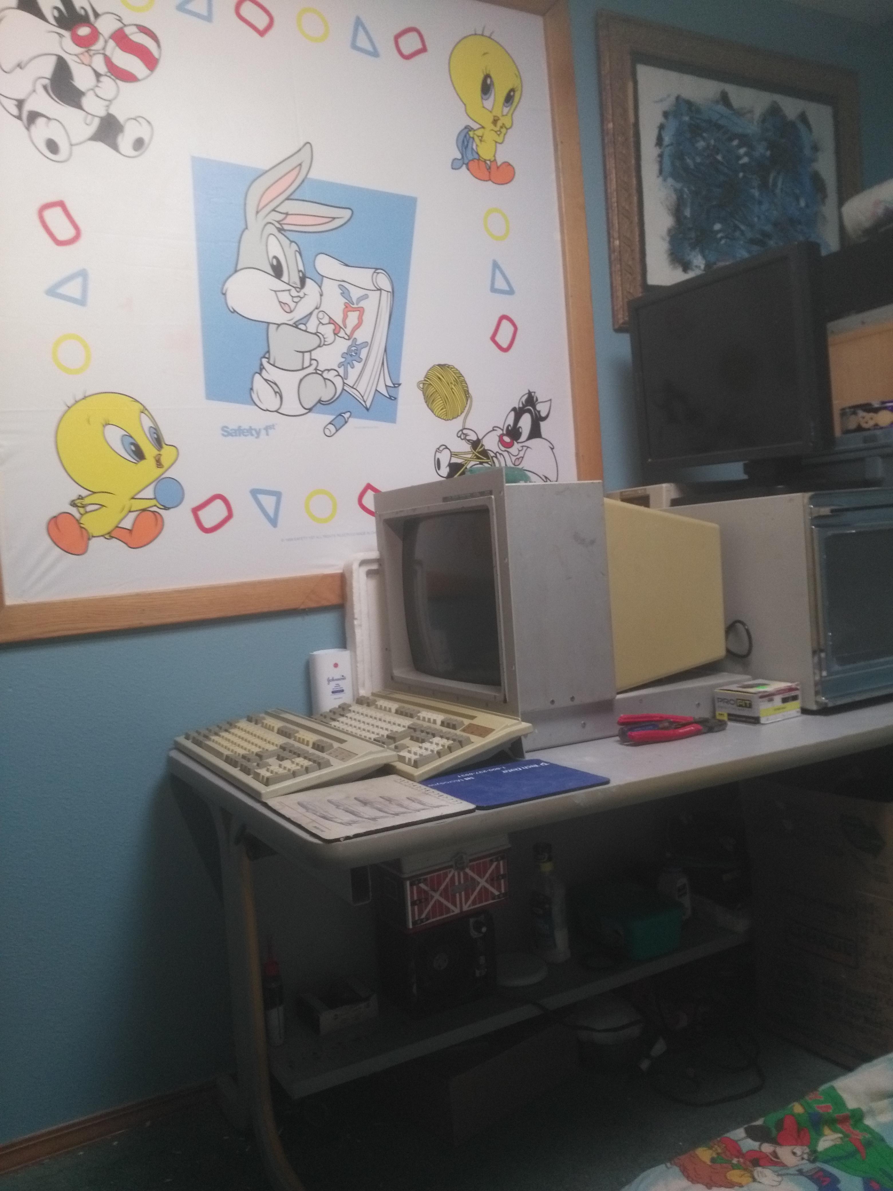 yelf498au3141 - Copy.jpg