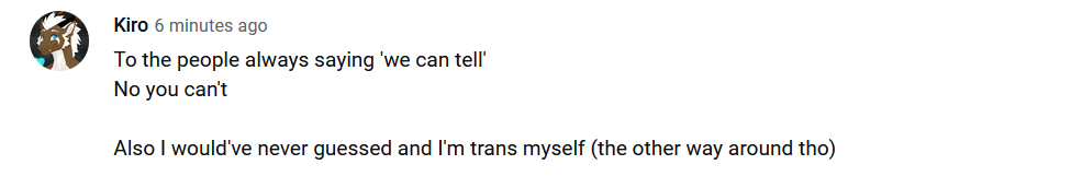 yt comment 3.PNG
