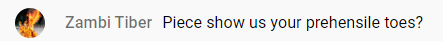 zambi 7.png